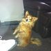 Vicky Houle - Facebook