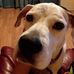 Vickie Houston - Facebook