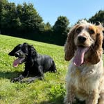 Vicky Howe - @eandlsmum - Instagram
