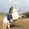 Vicky Howell550 - @vickyhowell1 - TikTok