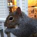 Vicki Hudgins - Facebook