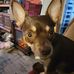 Vicky Hudgins - Facebook