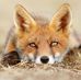 Vicky Hulse - Facebook