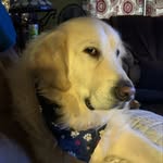 Vicki Brussellis Hummel - @murphy_ojameson - Instagram