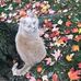 Vicky Hummel - Facebook