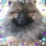 Vicky Humphrey - Facebook