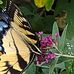 Vickie Humphries - Facebook