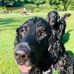 Victoria Humphries - Facebook