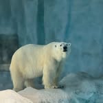 Vicky Hung - @vichunghung - Instagram