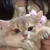 Vicky Hung - @vicky.hung6 - TikTok