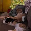 Vicki Hurst - @vicki.hurst - TikTok