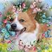 Vicky Hyde - Facebook