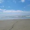 Vicki Ingram - @vickiingram6 - TikTok
