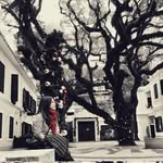 Vicky Ip - @vickyheehaa - Instagram