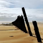 Vicki Irving - @virving4 - Instagram