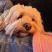 Vicki Emanuelson Iverson - Facebook