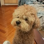 Vicky Rizzo - @vicky.rizzoo9 - Instagram