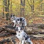 Vicky Jacobsen - @tictac_blue_and_delta - Instagram