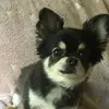 Vicky Jansen - @vicky.jansen0 - TikTok