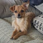 Vicki Jeffries Wygonik - @kyrain4547 - Instagram