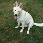 Vicki Jeffries Wygonik - @vwygonik - Instagram