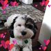 Victoria Jeffries - Facebook