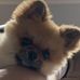 Vicky Vicars Jeter - Facebook
