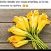 Vicki Juarez - Facebook