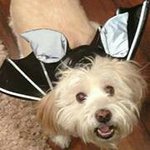 Vicki Kaiser - @monkebiz147 - Instagram