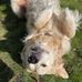 Vicky Kaiser - Facebook
