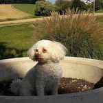 Vicky - @vickykaiser1 - Instagram