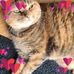 Vicki Kaminski - Facebook