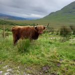 Vicky Kane - @vickykane1974 - Instagram