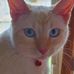 Vicky Katz - Facebook