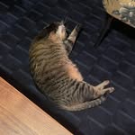 @vicky_katze - Instagram