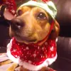 Vicky Keene - @vicky.keene2 - TikTok