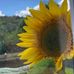 Vicky Kelsey - Facebook