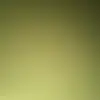 Vicky Kendall - @vicky.kendall5 - TikTok