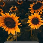 Vicky Kennedy - @vicky.kennedy.399 - Instagram