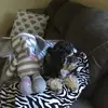 Vicki Kenney - @vicki.kenney0 - TikTok