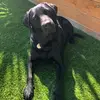 vickykerr24 - @vickykerr24 - TikTok