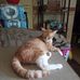 Vickie Kessler - Facebook