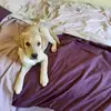 vickykirby180 - @vickykirby180 - TikTok