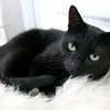 vickykirkland2 - @vickykirkland2 - TikTok
