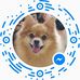 Vicky Knott - Facebook