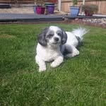 Vicky Knowles - @vickyknowles9 - Instagram