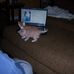 Vicky Koch - Facebook