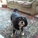 Vicky Kuhn - Facebook