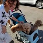 Vicky Kwok - @kwoksaufong - Instagram