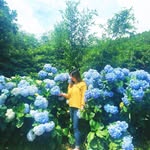 Vicky Kwok - @shukchinggg - Instagram
